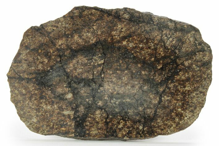 Chondrite Meteorite ( g) Slice with Shock Veins - Morocco #227980